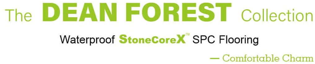 Dean Forest Collection