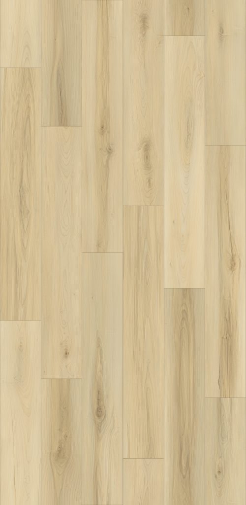 Harbor Mist Maple